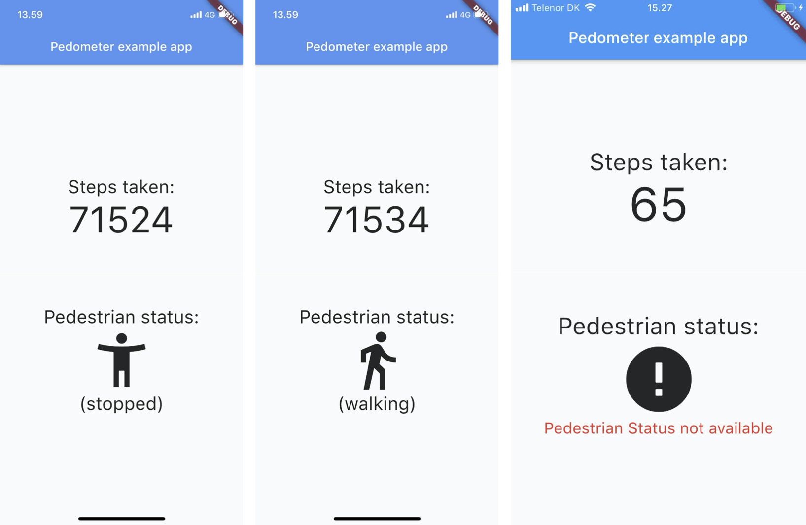 pedometer flutter