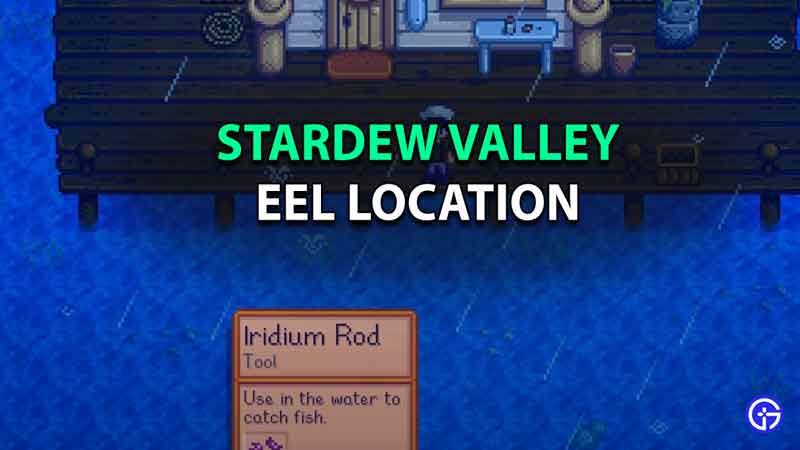 where to catch eel stardew