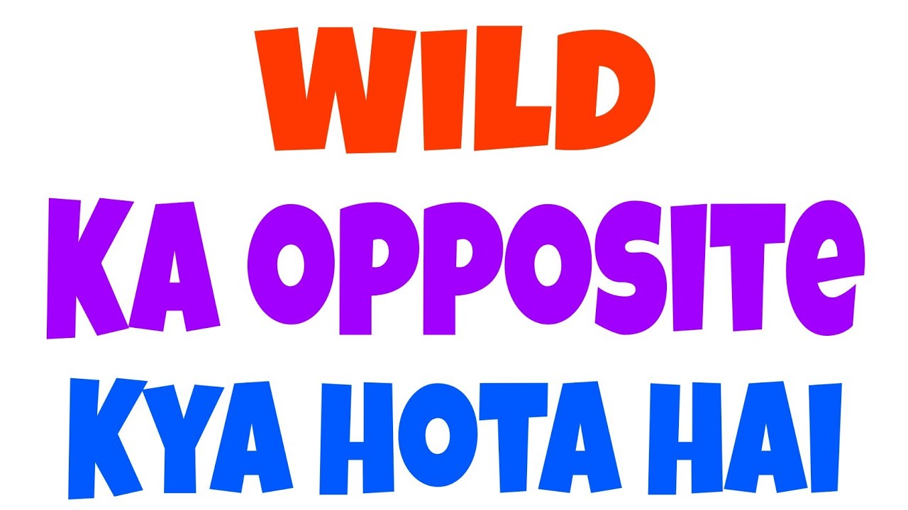 wild ka antonyms