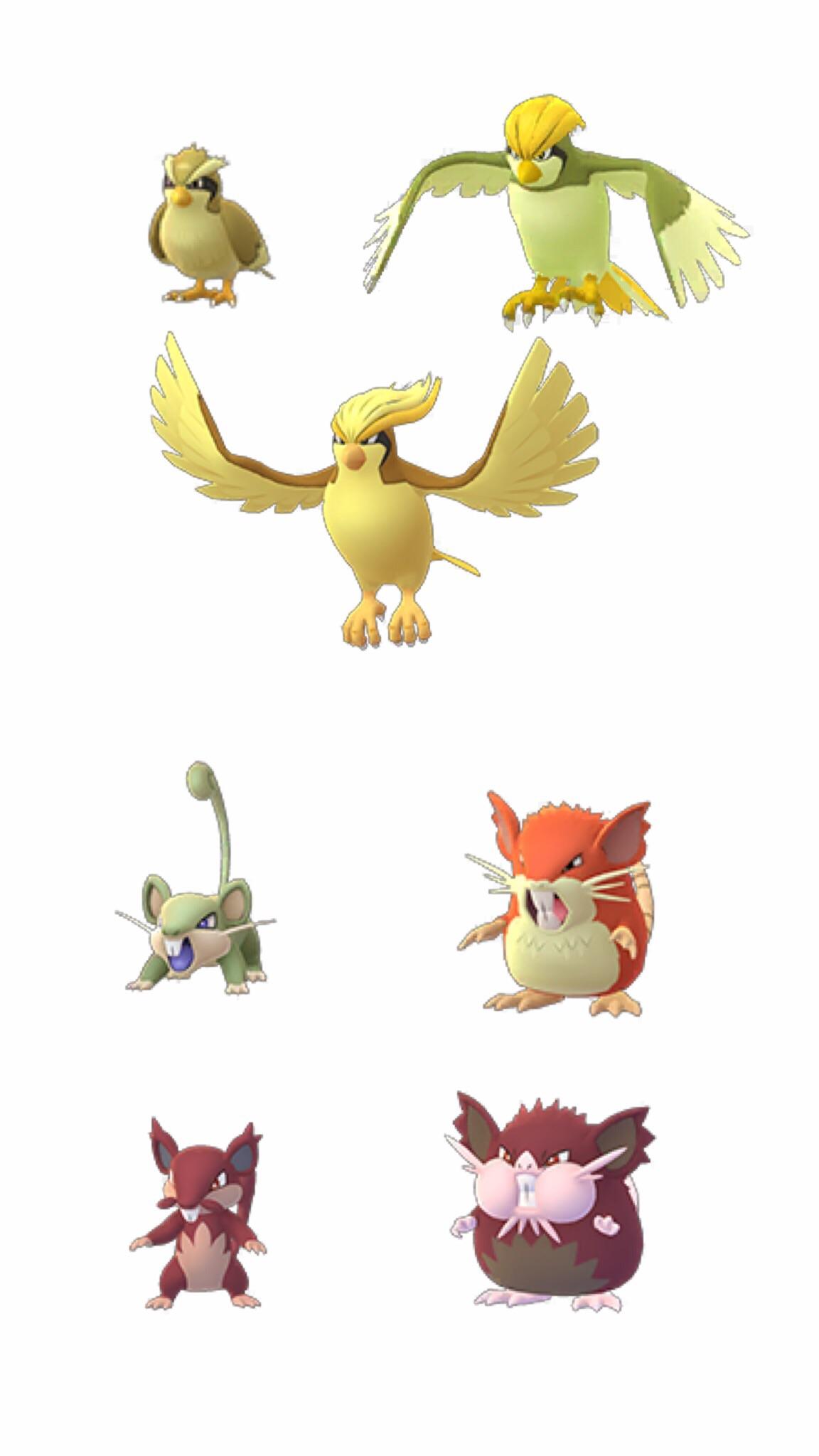 shiny pidgey vs normal