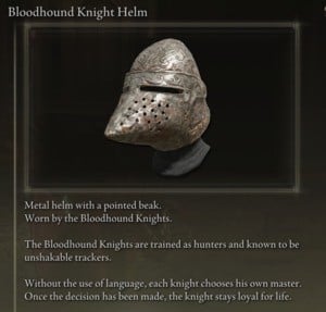 bloodhound knight helm