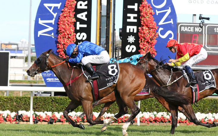 gold coast races saturday fields