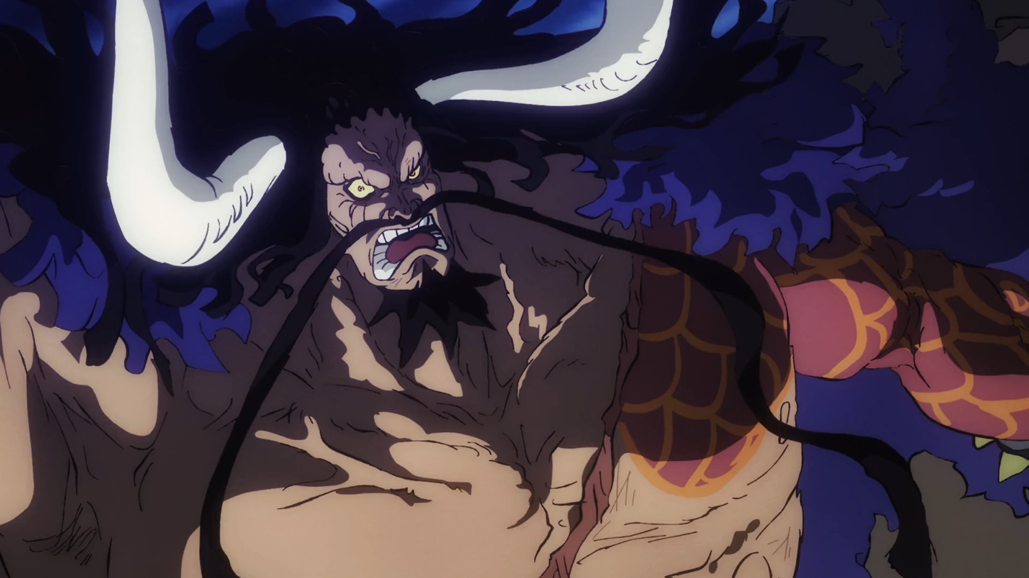 kaido scar