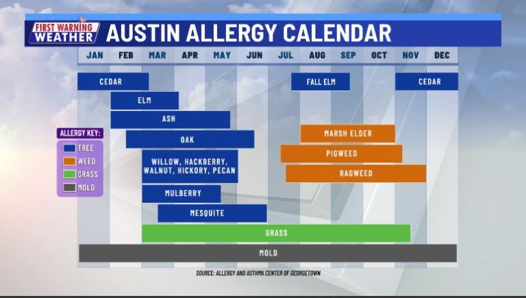 what pollen is in the air today