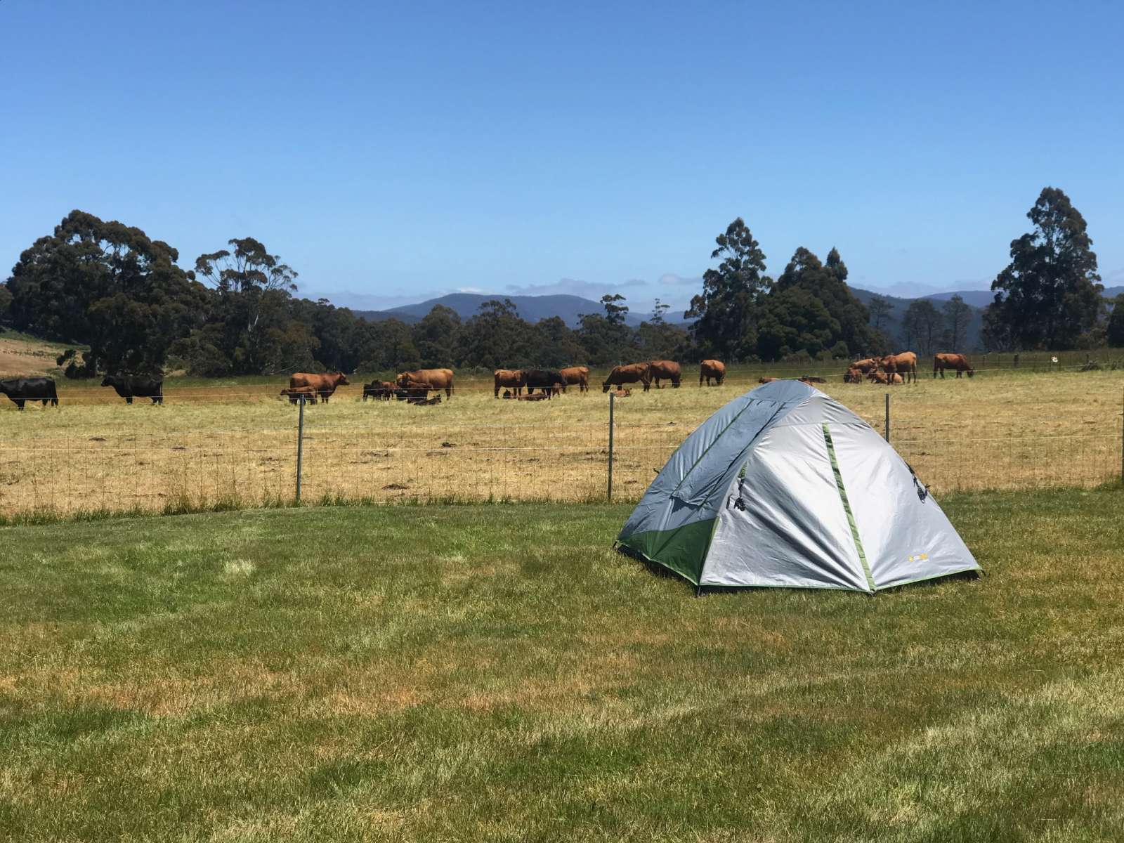 hipcamp tasmania