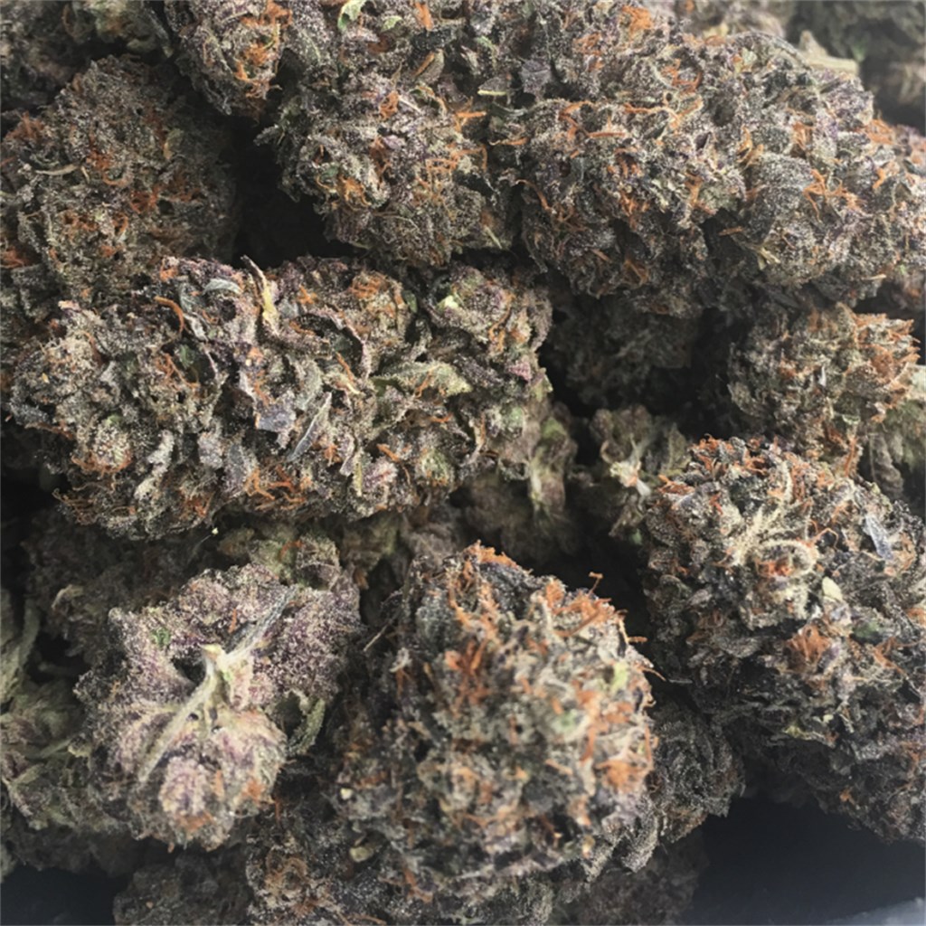 black cherry cookies strain