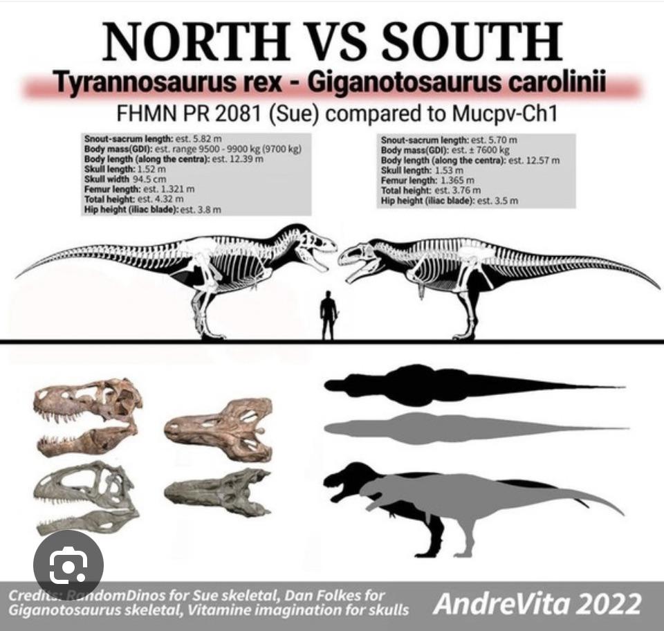 giganotosaurus vs t-rex