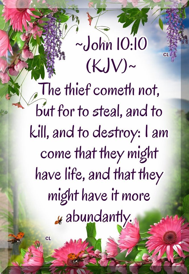 john 10 kjv