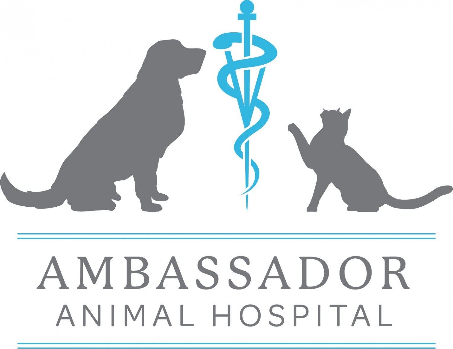 veterinarian bloomington il