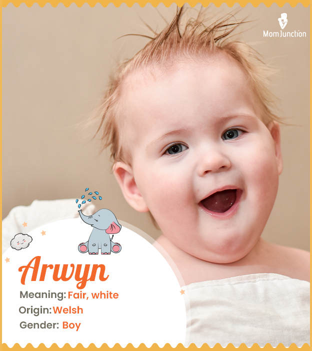 arwyn name meaning