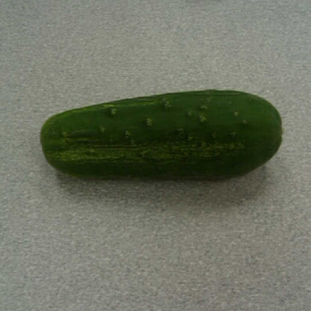 cucumber calories 100g
