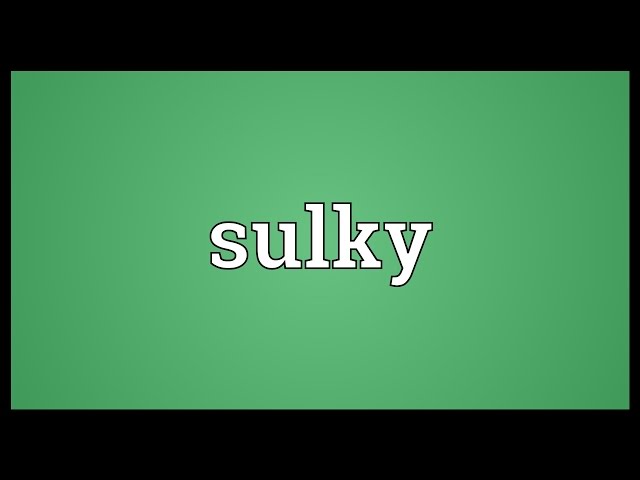 sulky meaning