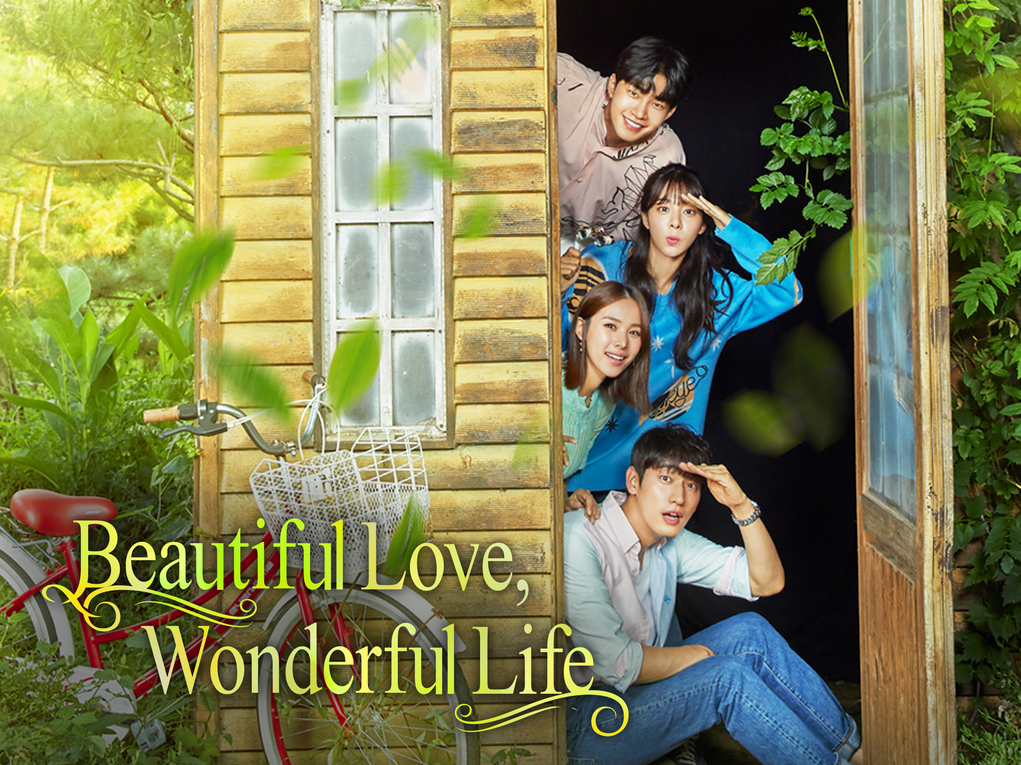 beautiful love wonderful life izle