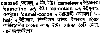 caramel meaning in bengali