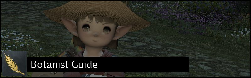 botany ffxiv quests