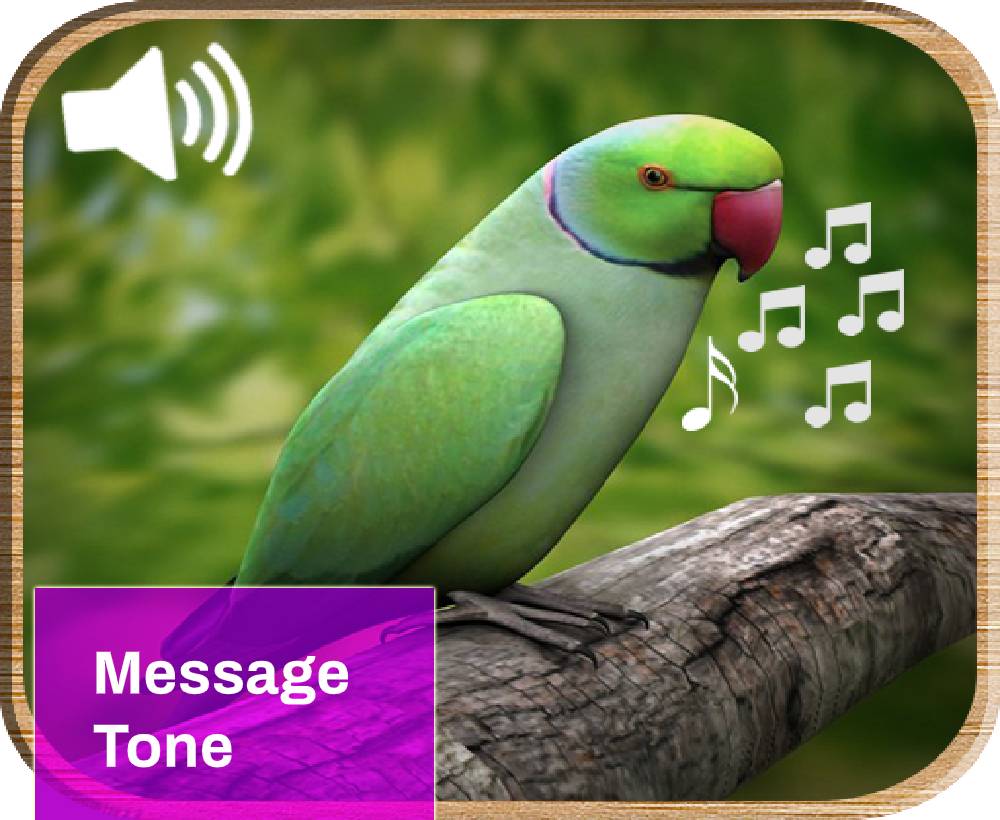 parrot message tone