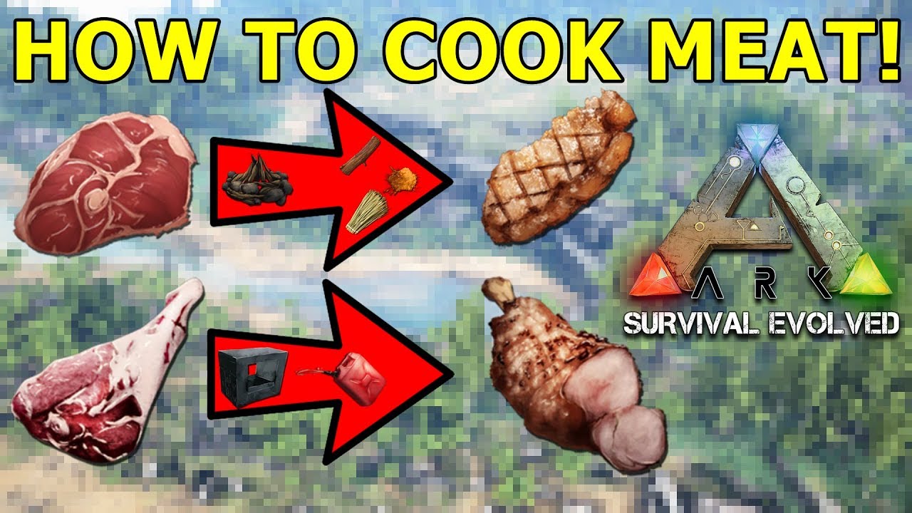 ark raw meat command