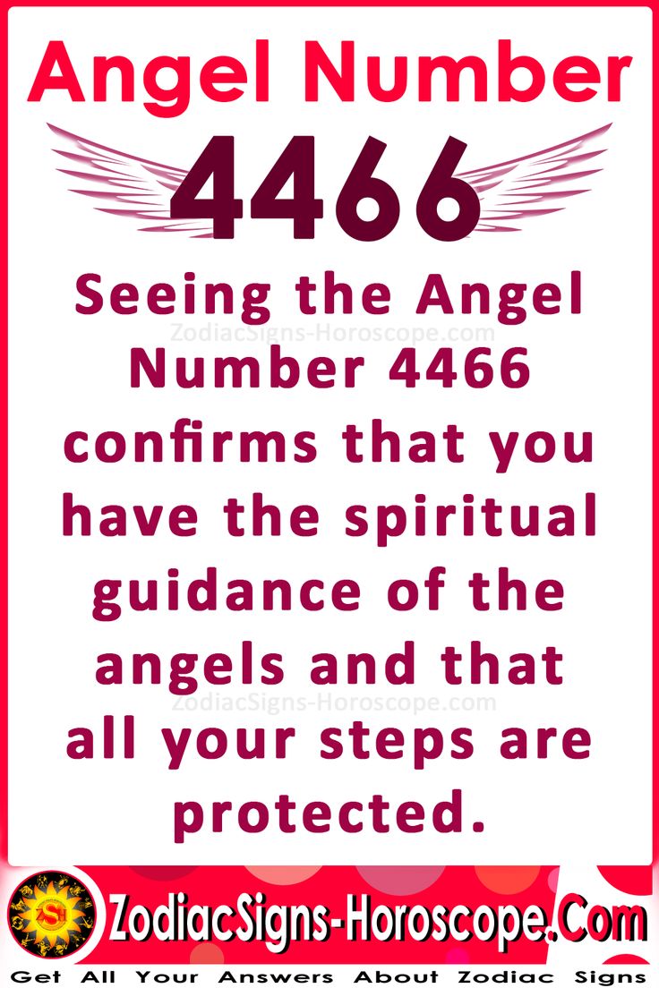 4466 angel number