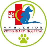 ambleside veterinary hospital