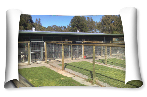 canning vale dog kennels