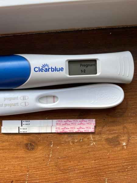 16dpo pregnancy test