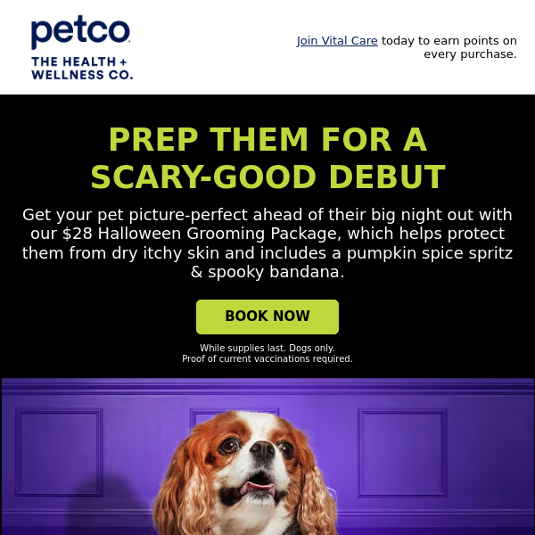 petco halloween grooming package