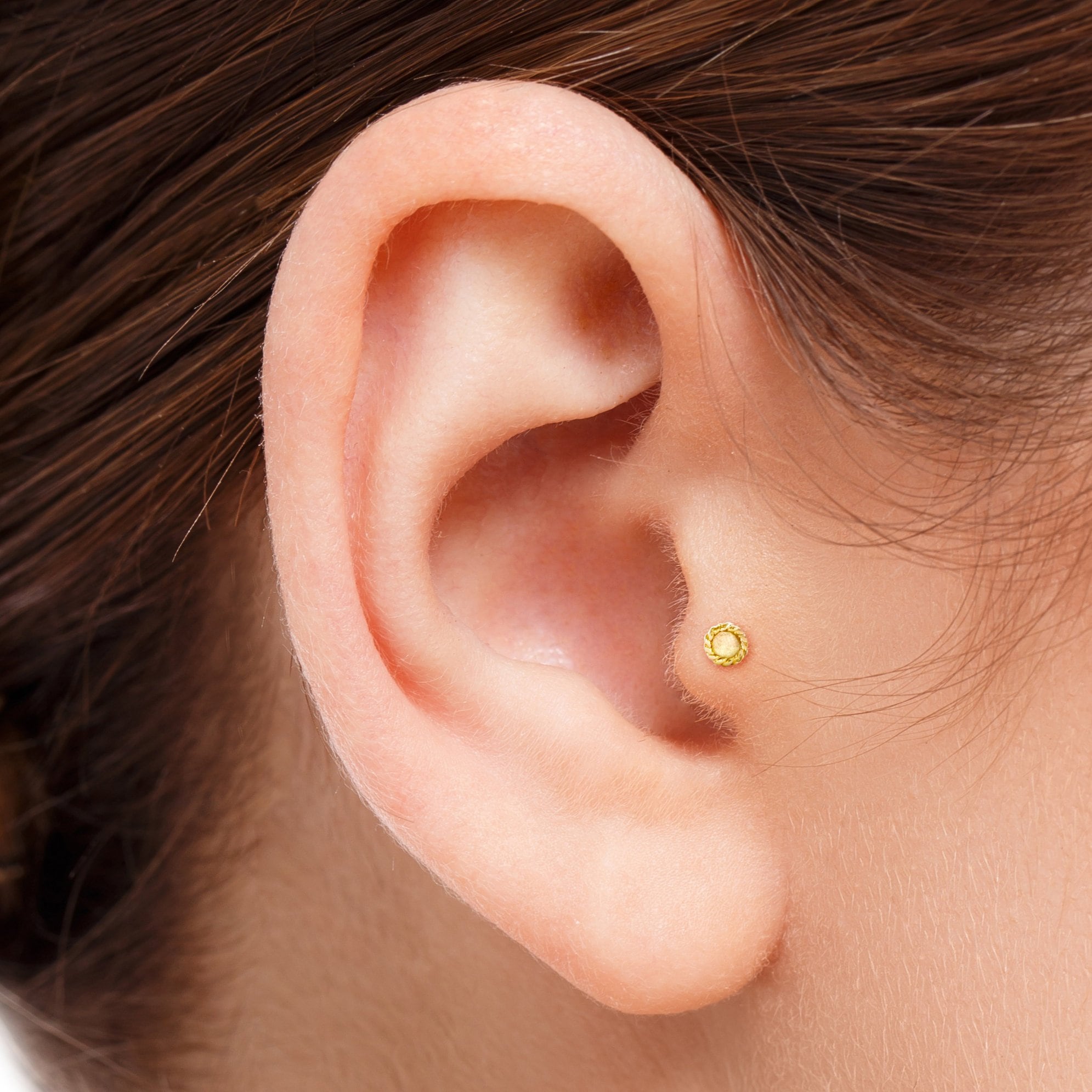 gold tragus jewelry