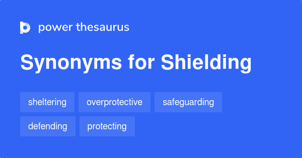 safeguards synonym