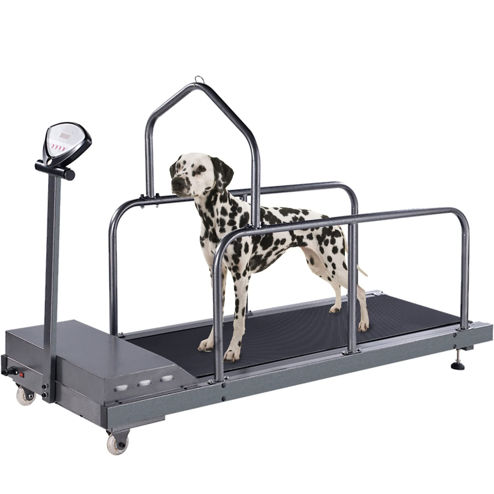 self propelled dog treadmill canada