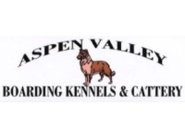 aspen valley kennels