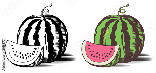 outline images of watermelon