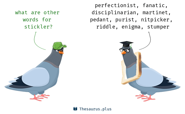 stickler thesaurus