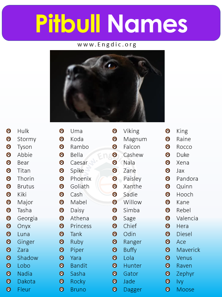 staffordshire bull terrier names female