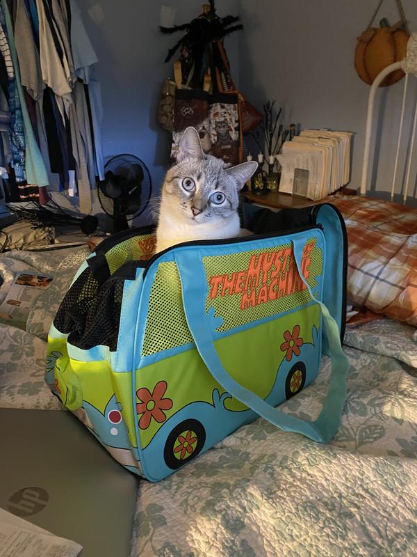 scooby doo cat carrier