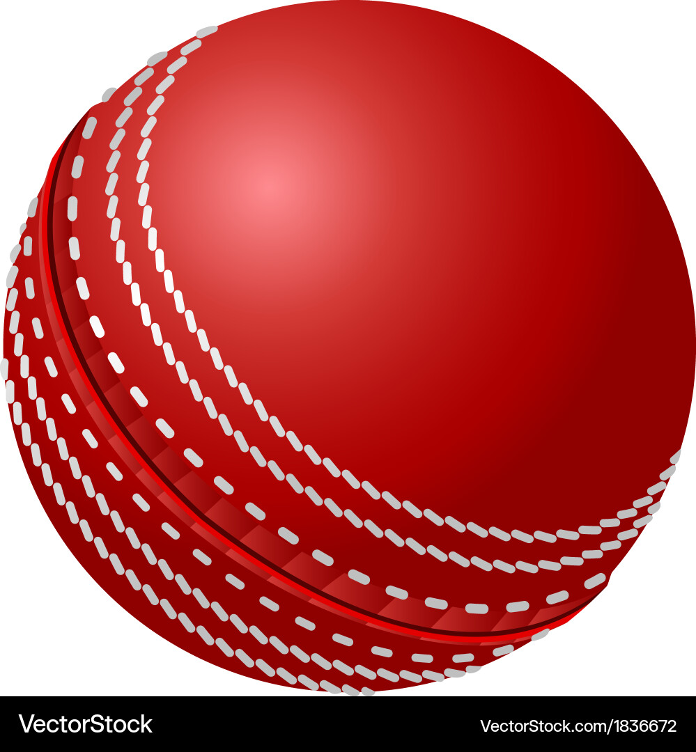 cricket ball vector