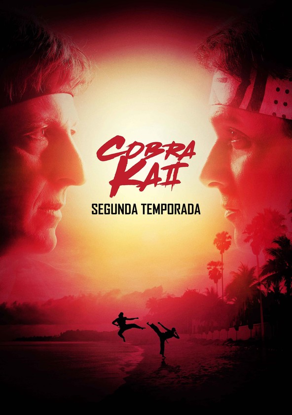 cobra kai season 2 online sub español