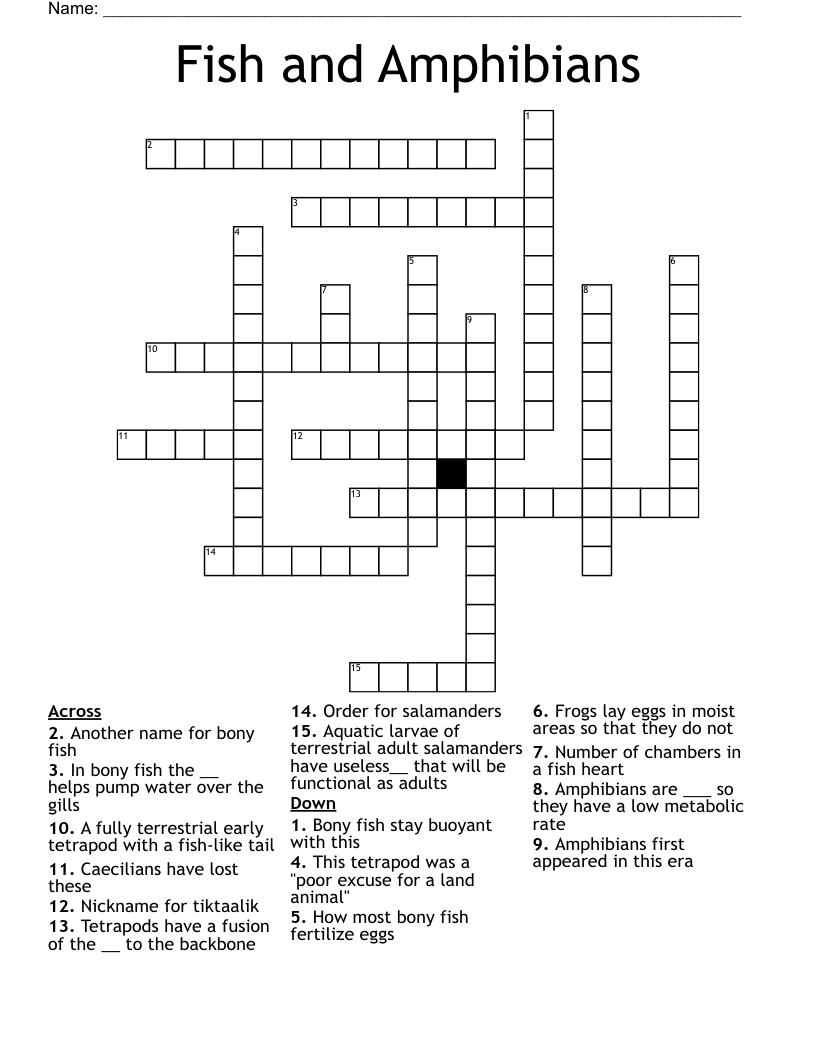 amphibian crossword clue