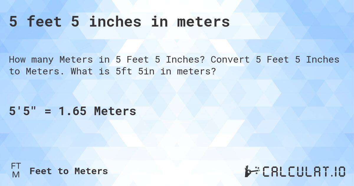 what is 5 ft 5 in meters