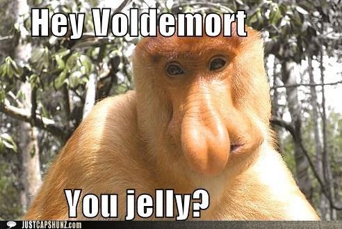 proboscis monkey memes