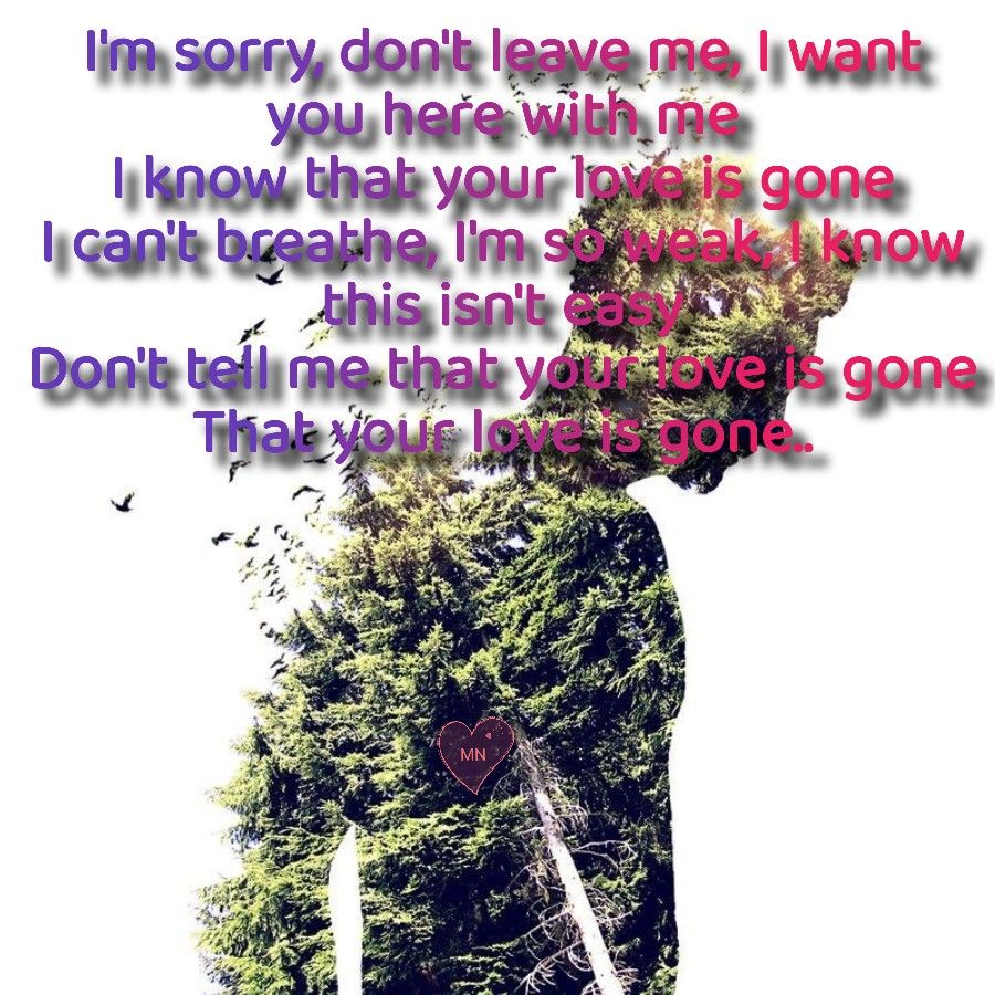 im sorry dont leave me lyrics