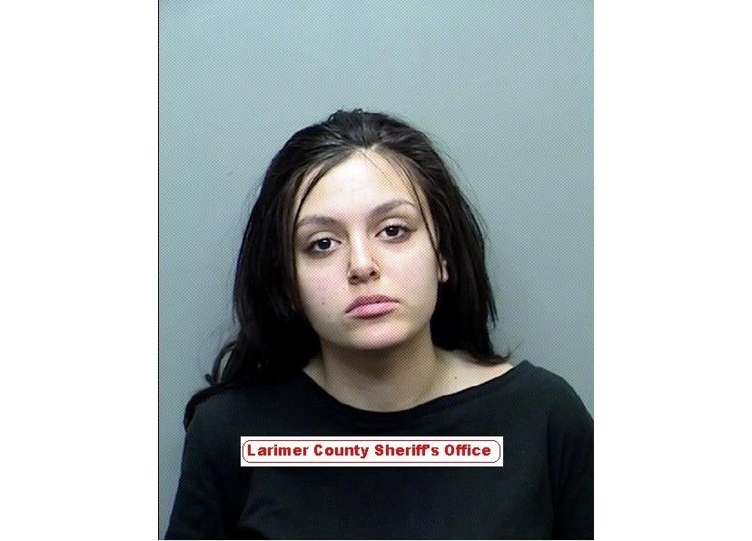 larimer county inmate locator