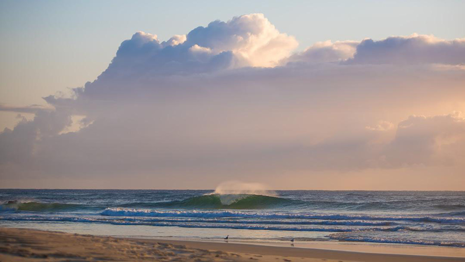 brunswick heads surf cam