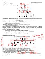 pedigree worksheet answer key pdf