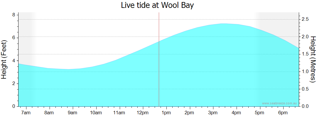 wool bay tides