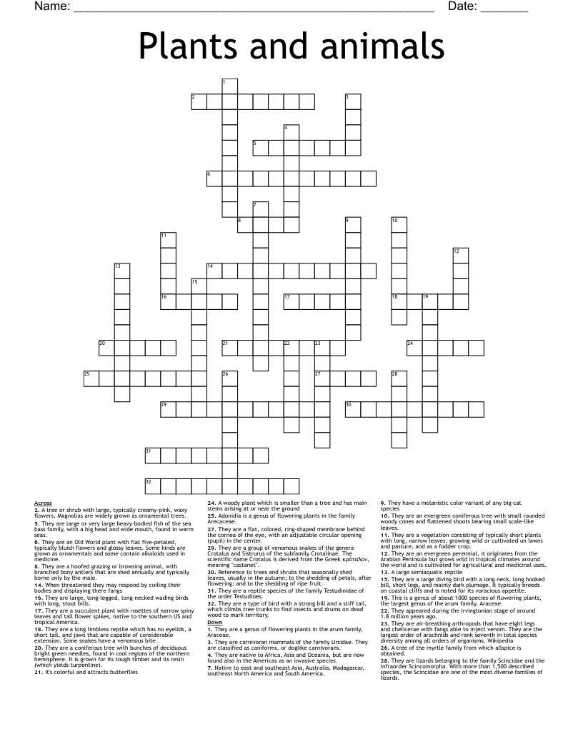 tall ornamental plant crossword