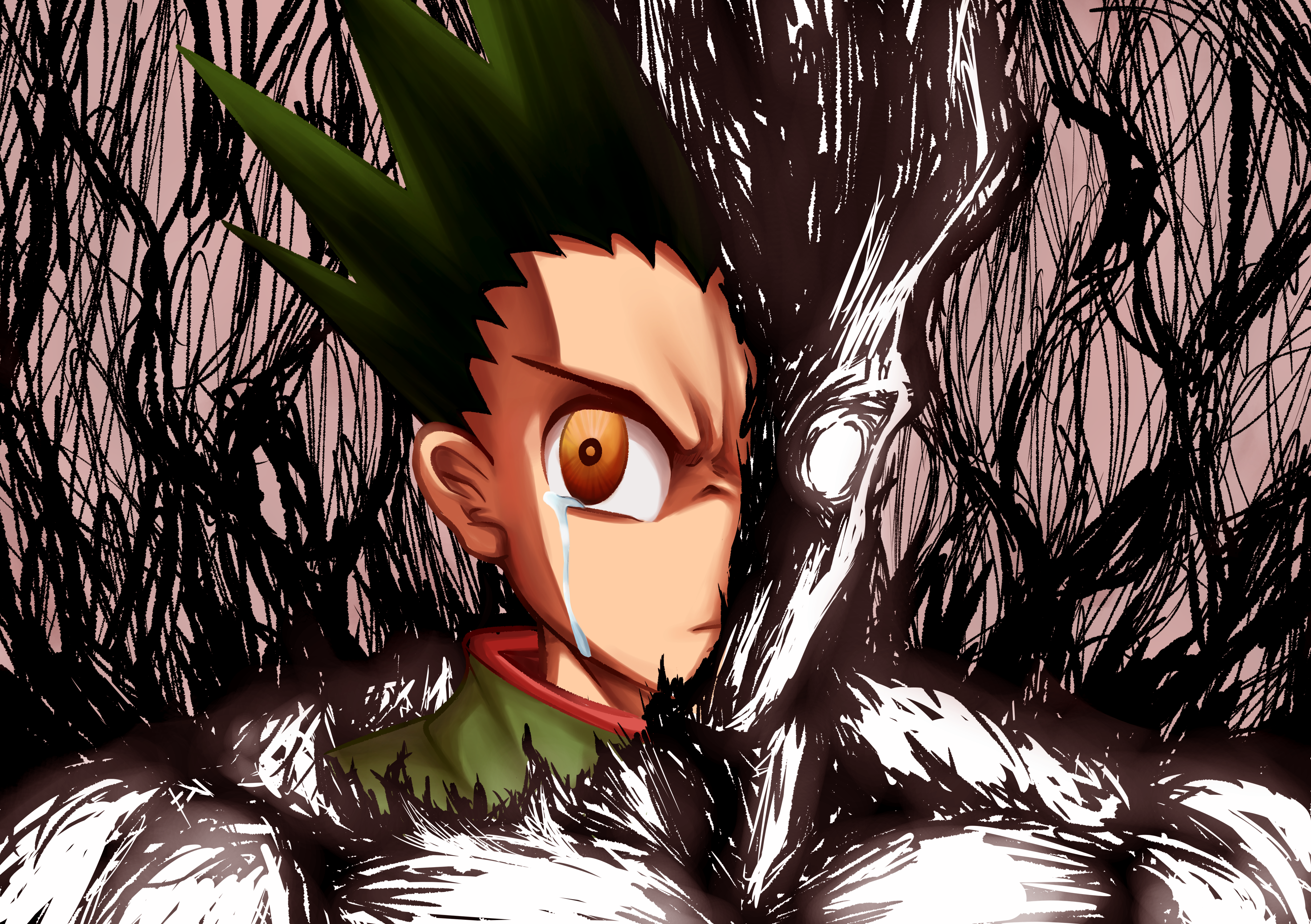 hxh gon transformation