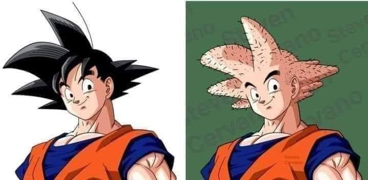 bald goku