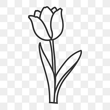 tulip clipart black and white