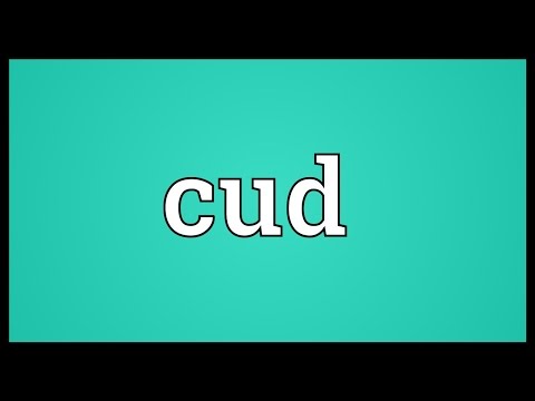 chewing cud meaning in hindi