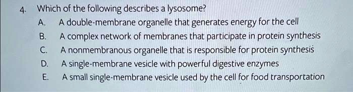 which of the following describes a lysosome